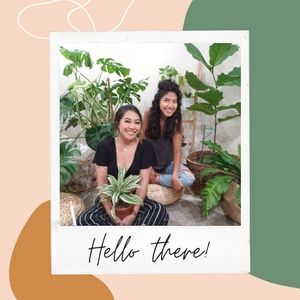 Meet your Posher, Amzi